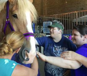 Photo of Residents petting a horse